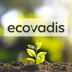Cim ottiene nuovamente il Badge EcoVadis, confermando il proprio impegno nella sostenibilit&agrave; aziendale, nelle pratiche ESG e nei processi a basso impatto ambientale